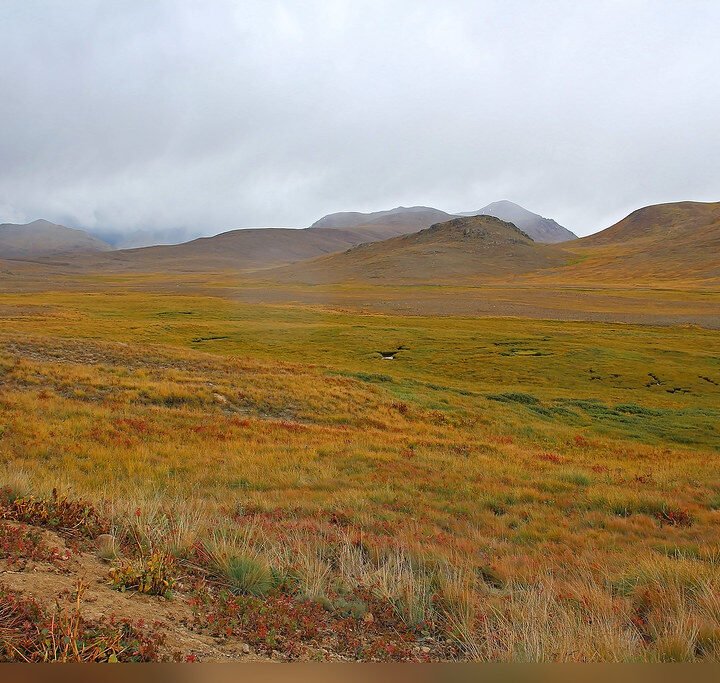 Deosai National Park