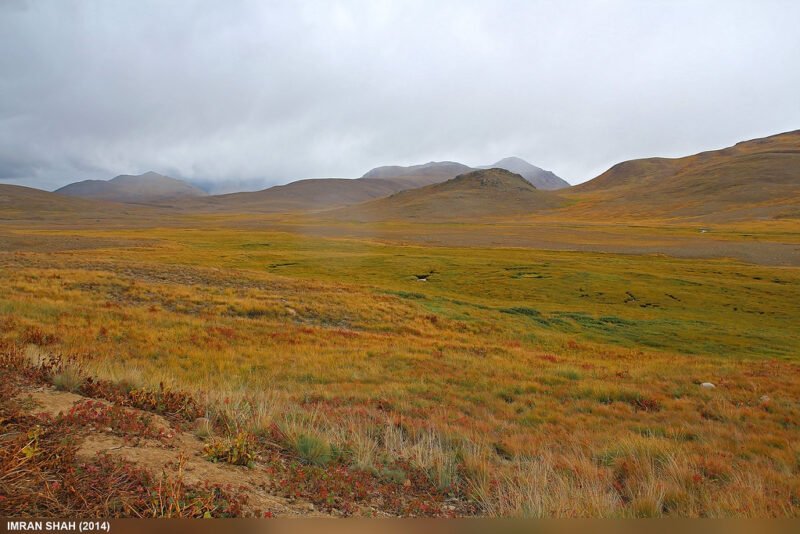 Deosai National Park
