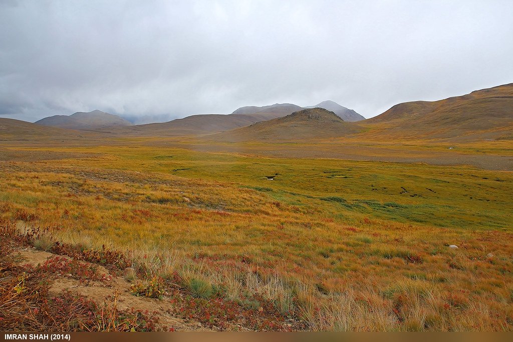 Deosai National Park