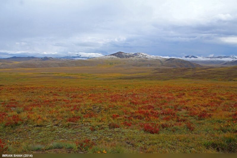 Deosai National Park