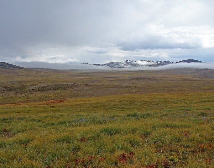 Deosai National Park