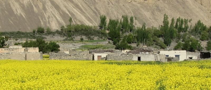 Wv Shimshal banner