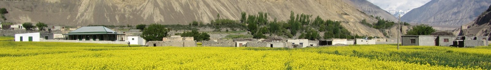 Wv Shimshal banner
